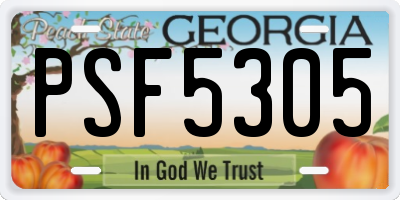 GA license plate PSF5305