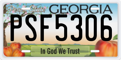 GA license plate PSF5306
