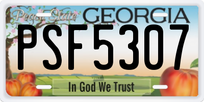 GA license plate PSF5307