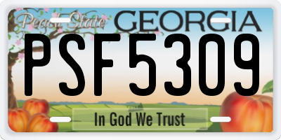 GA license plate PSF5309