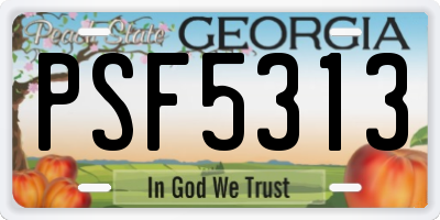 GA license plate PSF5313