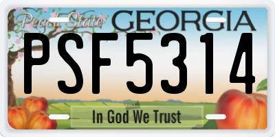 GA license plate PSF5314