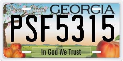 GA license plate PSF5315