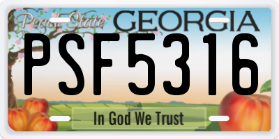 GA license plate PSF5316