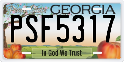GA license plate PSF5317