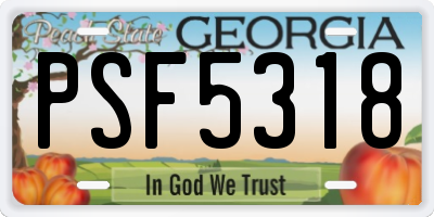 GA license plate PSF5318