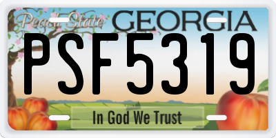 GA license plate PSF5319