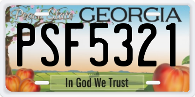 GA license plate PSF5321