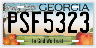 GA license plate PSF5323