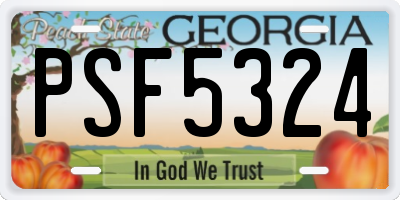 GA license plate PSF5324
