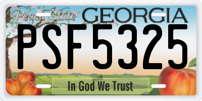 GA license plate PSF5325
