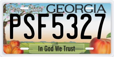 GA license plate PSF5327