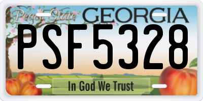 GA license plate PSF5328