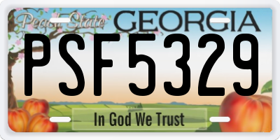 GA license plate PSF5329