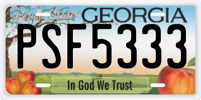 GA license plate PSF5333