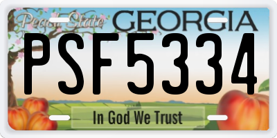 GA license plate PSF5334