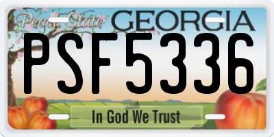 GA license plate PSF5336