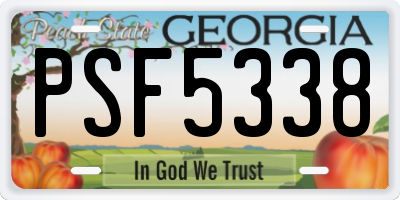 GA license plate PSF5338