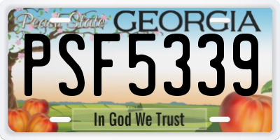 GA license plate PSF5339