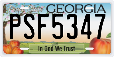 GA license plate PSF5347