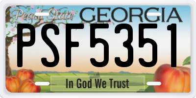 GA license plate PSF5351