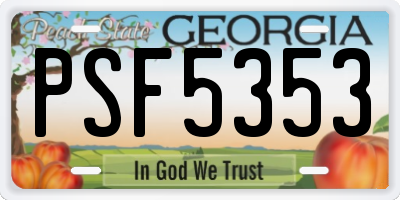GA license plate PSF5353
