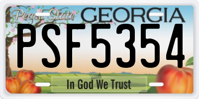 GA license plate PSF5354