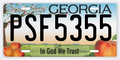 GA license plate PSF5355
