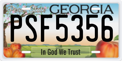 GA license plate PSF5356