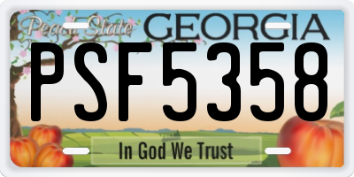 GA license plate PSF5358