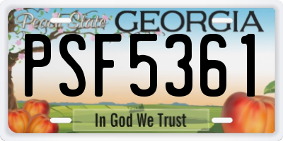 GA license plate PSF5361