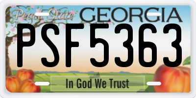 GA license plate PSF5363