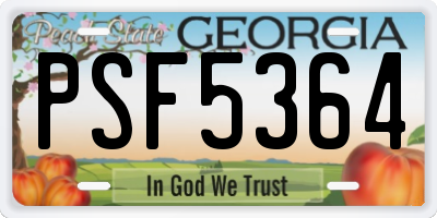 GA license plate PSF5364