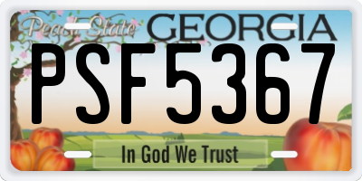 GA license plate PSF5367