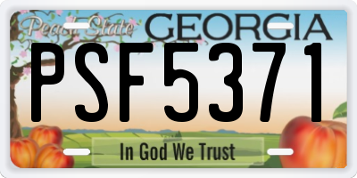 GA license plate PSF5371