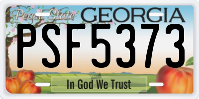 GA license plate PSF5373