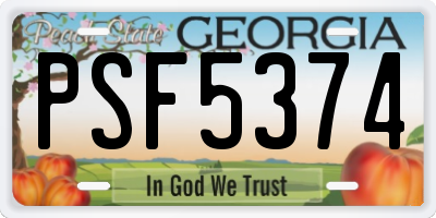 GA license plate PSF5374