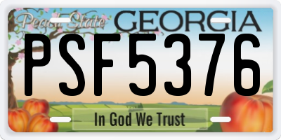 GA license plate PSF5376