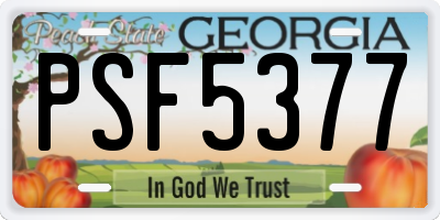 GA license plate PSF5377