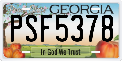 GA license plate PSF5378