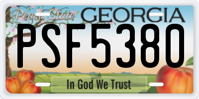 GA license plate PSF5380