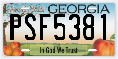 GA license plate PSF5381