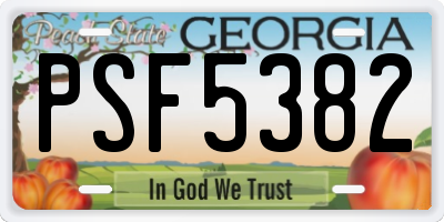 GA license plate PSF5382