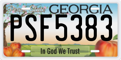 GA license plate PSF5383