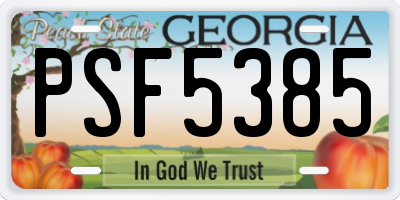 GA license plate PSF5385