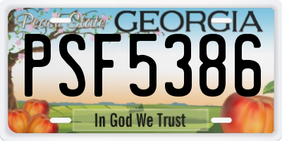 GA license plate PSF5386