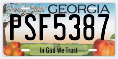 GA license plate PSF5387