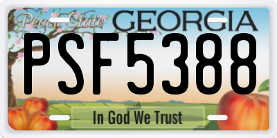 GA license plate PSF5388
