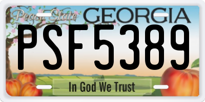 GA license plate PSF5389