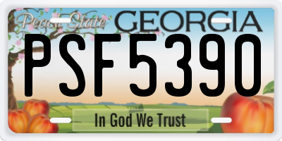GA license plate PSF5390